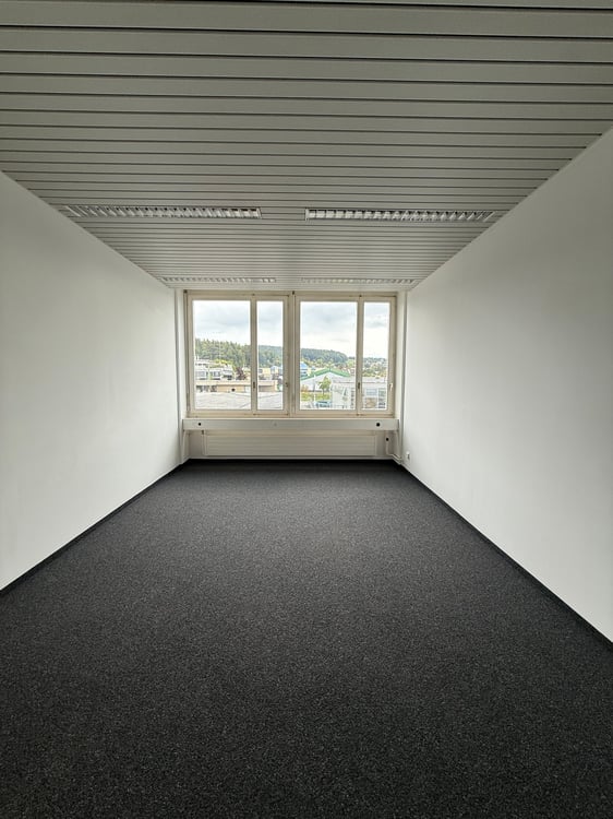 Attraktives, helles Büro an ruhiger Lage – Rudolf-Diesel-Strasse 28, Winterthur 2