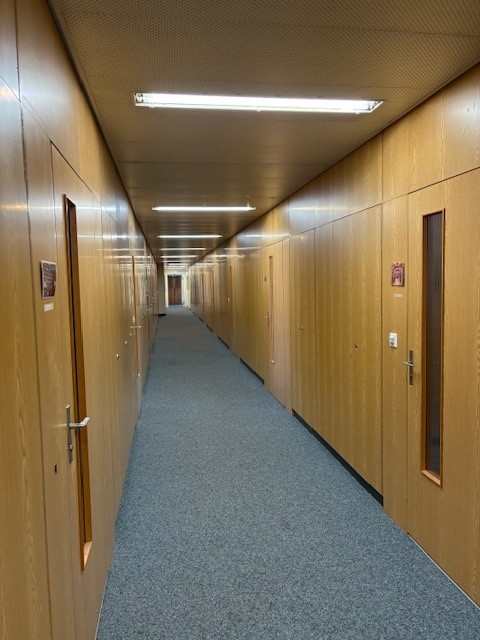 Long hallway with wooden paneled walls, fluorescent lighting fixtures, and a carpeted floor.