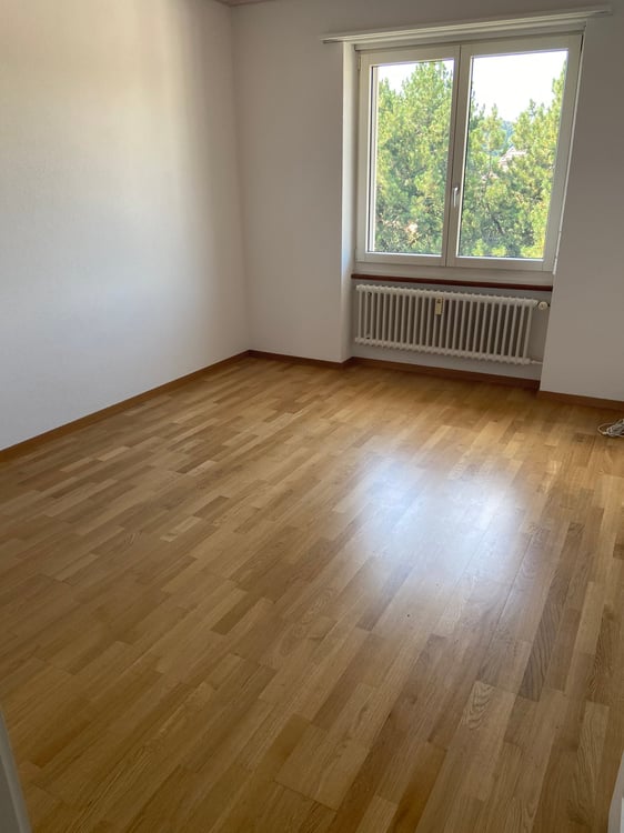 Charmante 1-Zimmer-Wohnung mit Balkon in Biglen 3