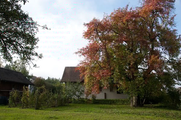 2.5-Zimmer-Landhaus mit Garten in Tägerwilen 17