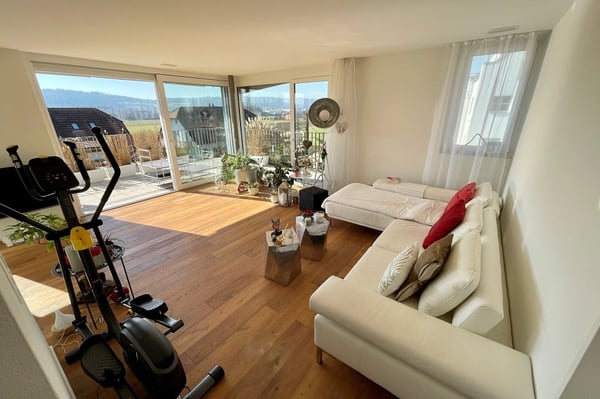 Moderne, Licht durchflutete und ruhige 1.5-Zimmer-Attikawohnung mit grosser Terrasse 1