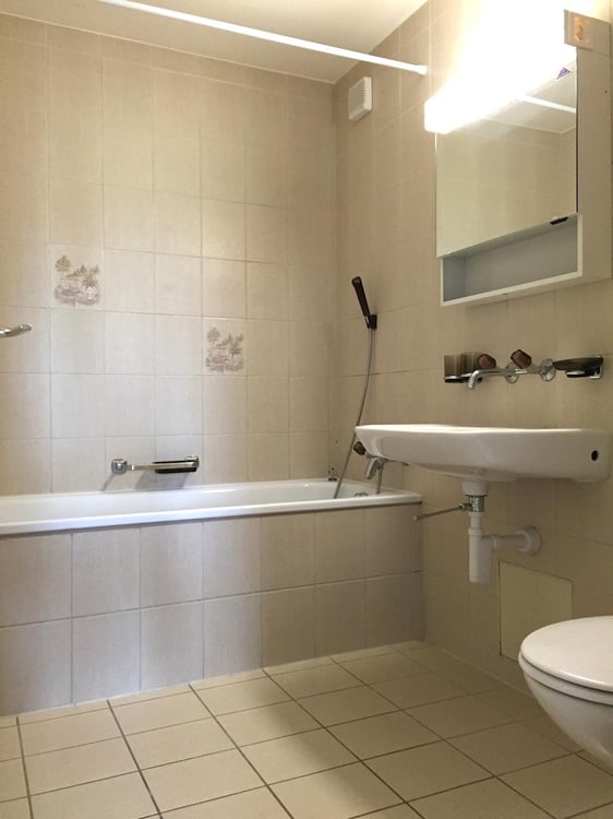 1.5 Zimmerwohnung in Safenwil 7