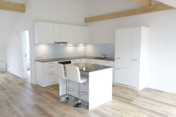 Moderne Dach Loft Wohnung mit Sicht ins Grüne 3