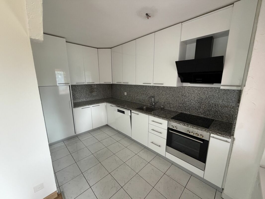 Spacious 4.5 room apartment in the 