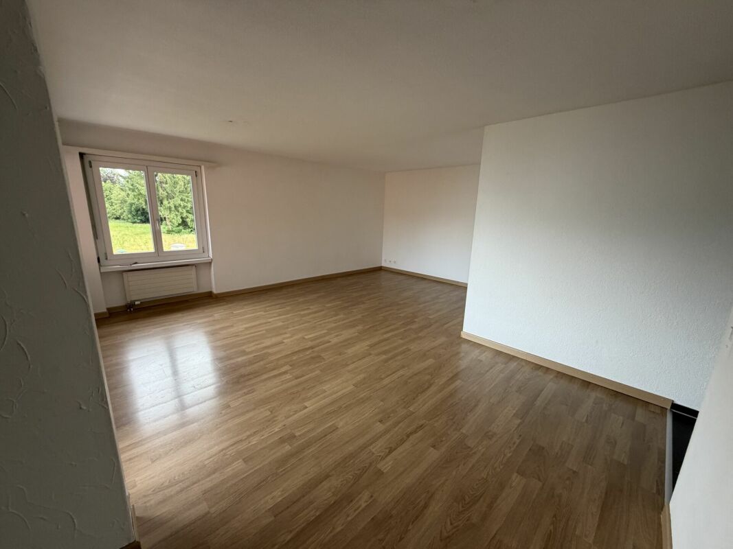 Spacious 4.5 room apartment in the 
