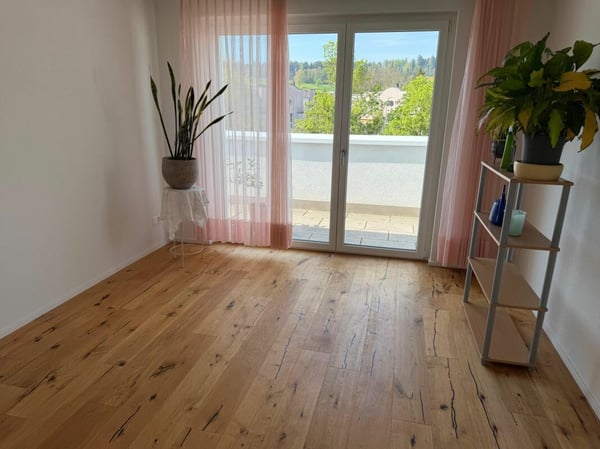 Grosszügige, moderne 4.5 Zimmer Attikawohnung 8