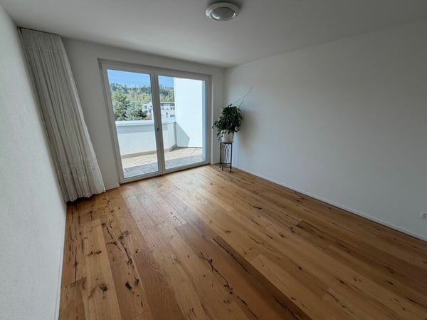 Grosszügige, moderne 4.5 Zimmer Attikawohnung 7