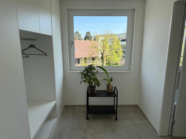Grosszügige, moderne 4.5 Zimmer Attikawohnung 3