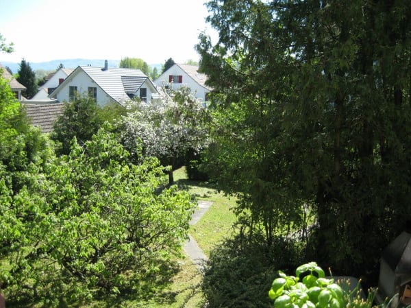 4-Zimmerwohnung in Stein am Rhein 6