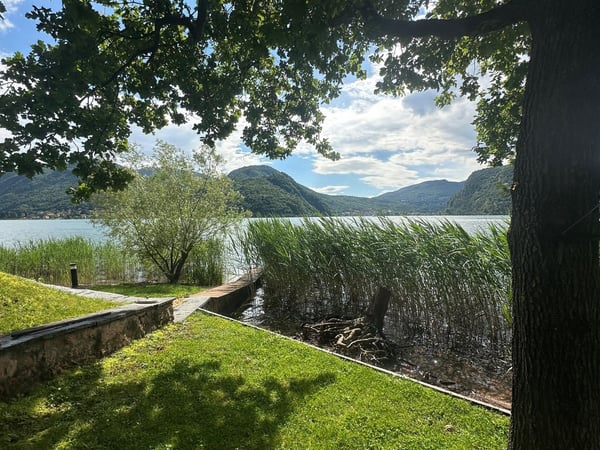 Elegante 1.5 locali con vista mozzafiato e accesso diretto al lago 12