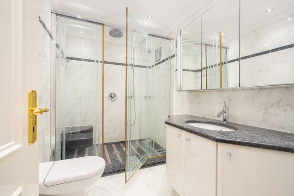 Elegante 1.5 locali con vista mozzafiato e accesso diretto al lago 9