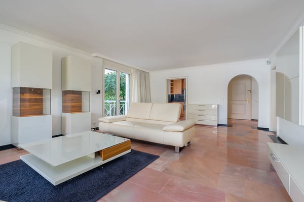 Elegante 1.5 locali con vista mozzafiato e accesso diretto al lago 4