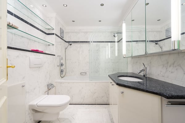 Elegante 1.5 locali con vista mozzafiato e accesso diretto al lago 8