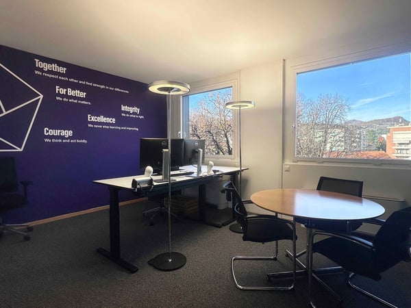 Affittasi da maggio 2026 uffici di 600m2 suddivisi su due piani 5