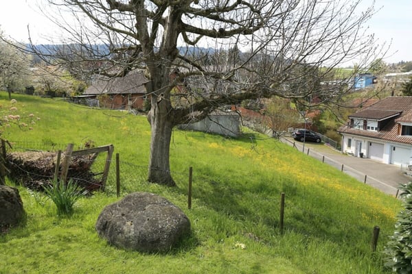 Villa mit Seesicht und mit separatem Bauland an sehr guter Lage. 6