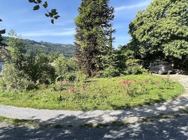 Neubauprojekt : Einfamilienhaus 1.5 Zimmer 9