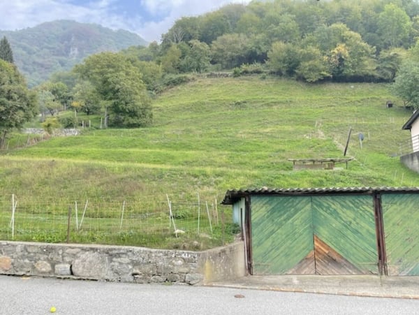 Kompakthaus Neubauprojekt 2