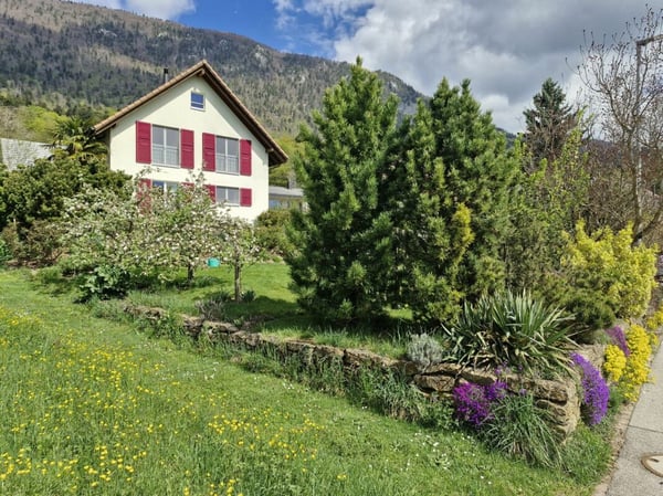 Tolles Einfamilienhaus mit windgeschütztem Sitzplatz 1