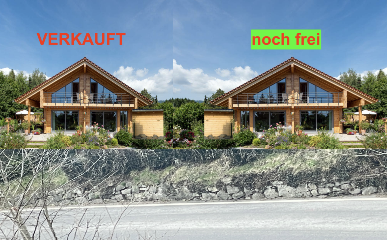 Neubauprojekt : Einfamilienhaus 5.5 Zimmer