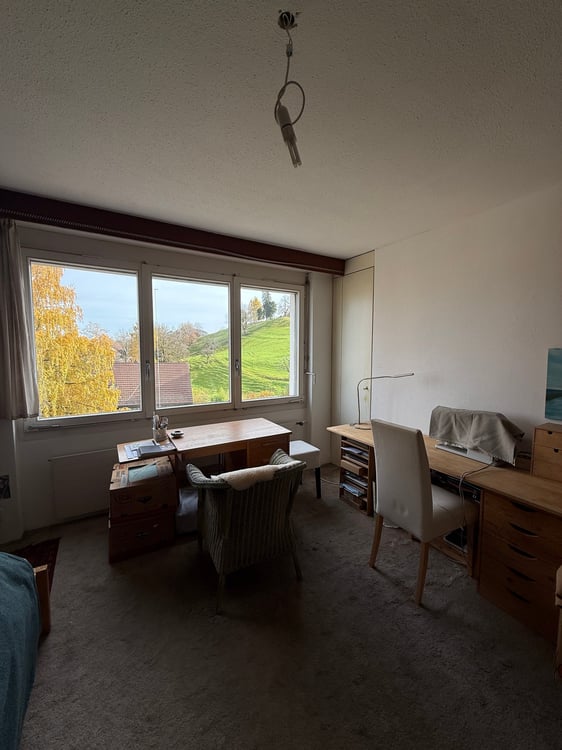 Charmante 6-Zimmer-Wohnung mit Cheminée in St. Gallen 8