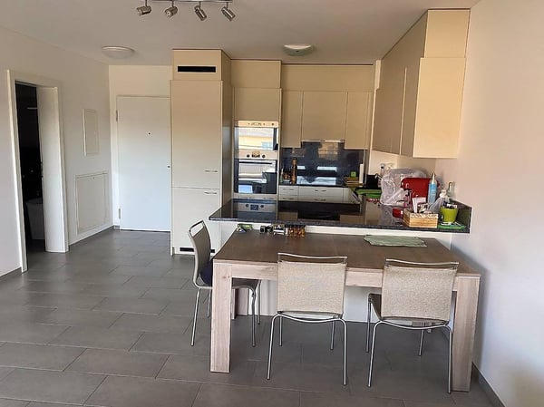 Mendrisio, 1.5 locali con piscina, wellness e parco 4