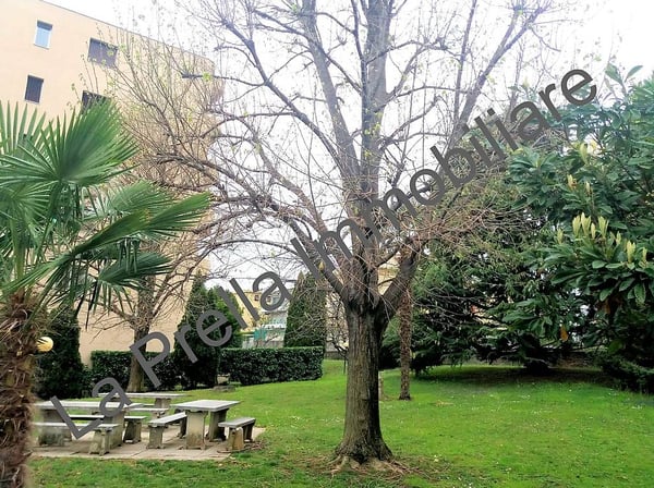 Coldrerio - Ampio 3.5 locali con giardino condominiale 2