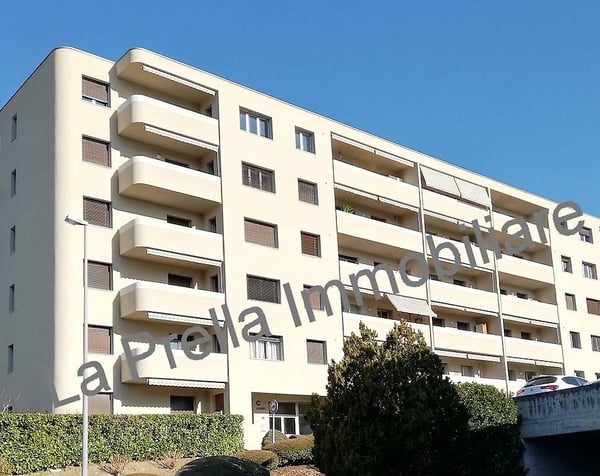 Coldrerio - Ampio 3.5 locali con giardino condominiale 3