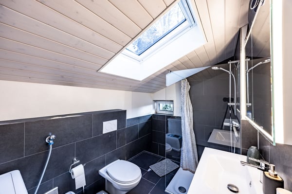 Modernisiertes Zweiparteienhaus mit viel Umschwung 8