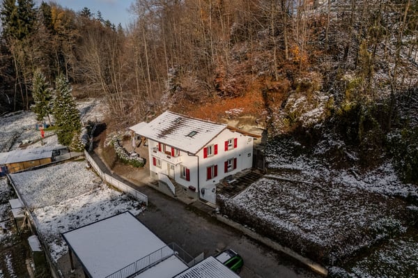 Modernisiertes Zweiparteienhaus mit viel Umschwung 1