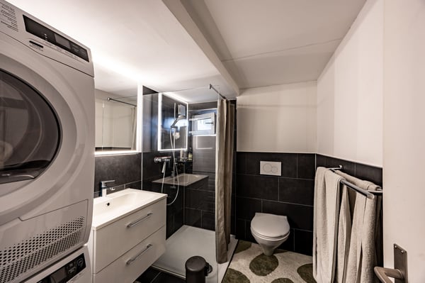 Modernisiertes Zweiparteienhaus mit viel Umschwung 5