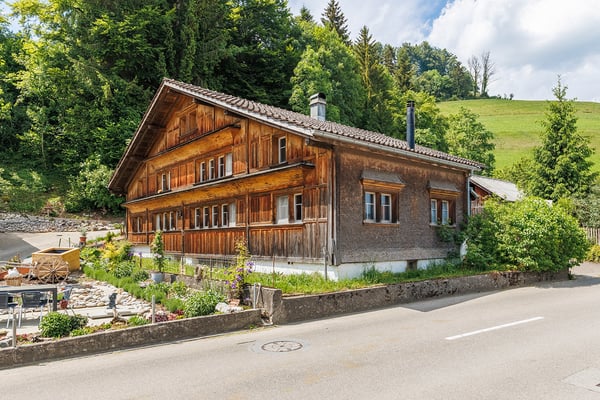 Tätschdachhaus mit Schopf und weitläufigem Grundstück 1