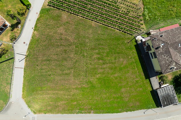 Nuovo terreno pianeggiante 3