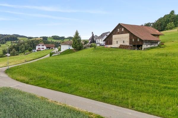 Raum zur Entwicklung in Schmiedrued - unerschlossene Parzelle mit 1... 1