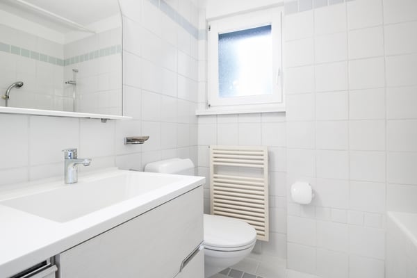 Proprietà bifamiliare di 2 appartamenti da 3.5 locali con giardino 4