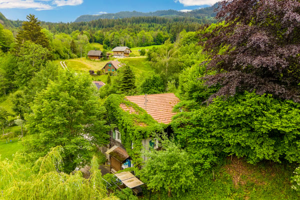 Ein Zuhause mit Potenzial in traumhafter Naturkulisse 1