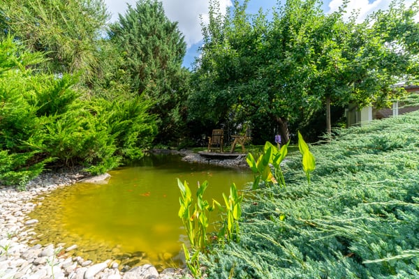 Charmantes Einfamilienhaus mit Garten und Wellness-Oase 12