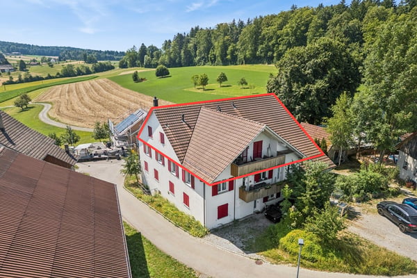 Naherholungsgebiet direkt vor der Haustüre - Grosse Dachwohnung umg... 1
