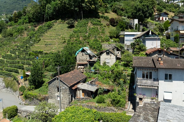 Terreno con progetto autorizzato pronto per essere realizzato 3