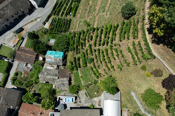 Terreno con progetto autorizzato pronto per essere realizzato 1