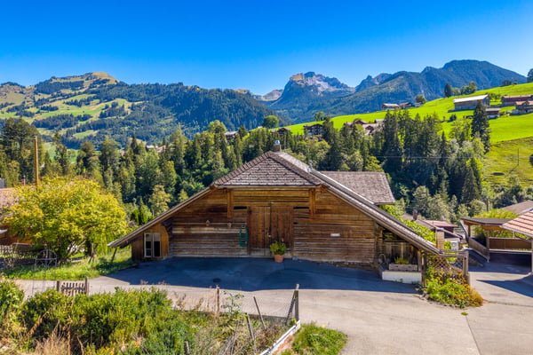 Simmentaler Bauernhaus mit zwei Wohnungen und freier Bergsicht 2