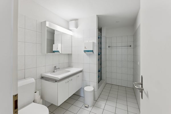Attraktive Immobilie mit Wohnungen und Gewerbeflächen 7