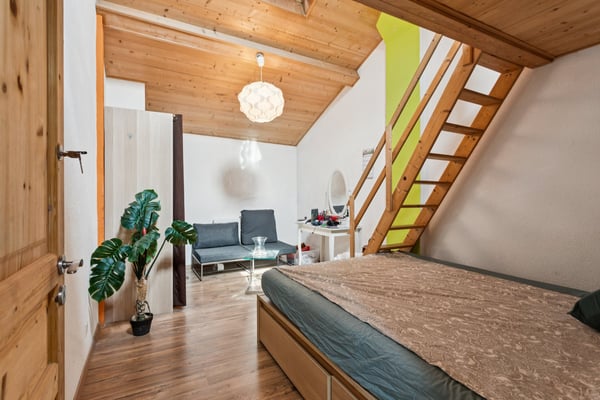 Immeuble de rendement de 3 appartements et un grand jardin 6