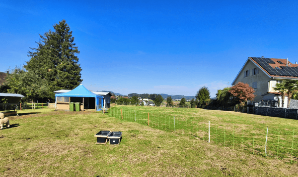 Ein Ort für Visionen - Baulandreserve mit herrlicher Aussicht 5