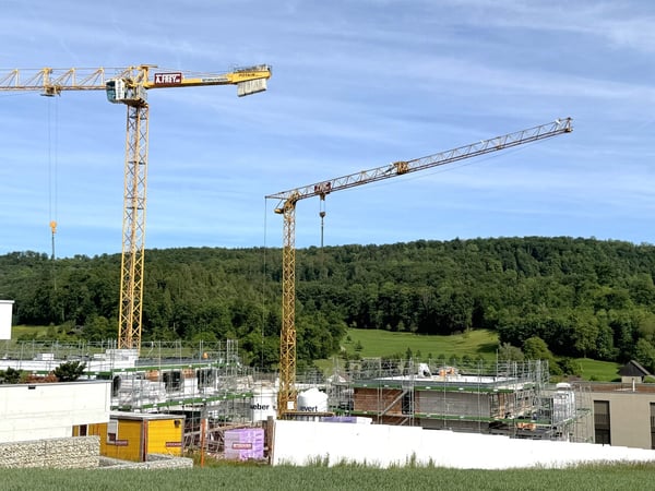 Tegerfelden