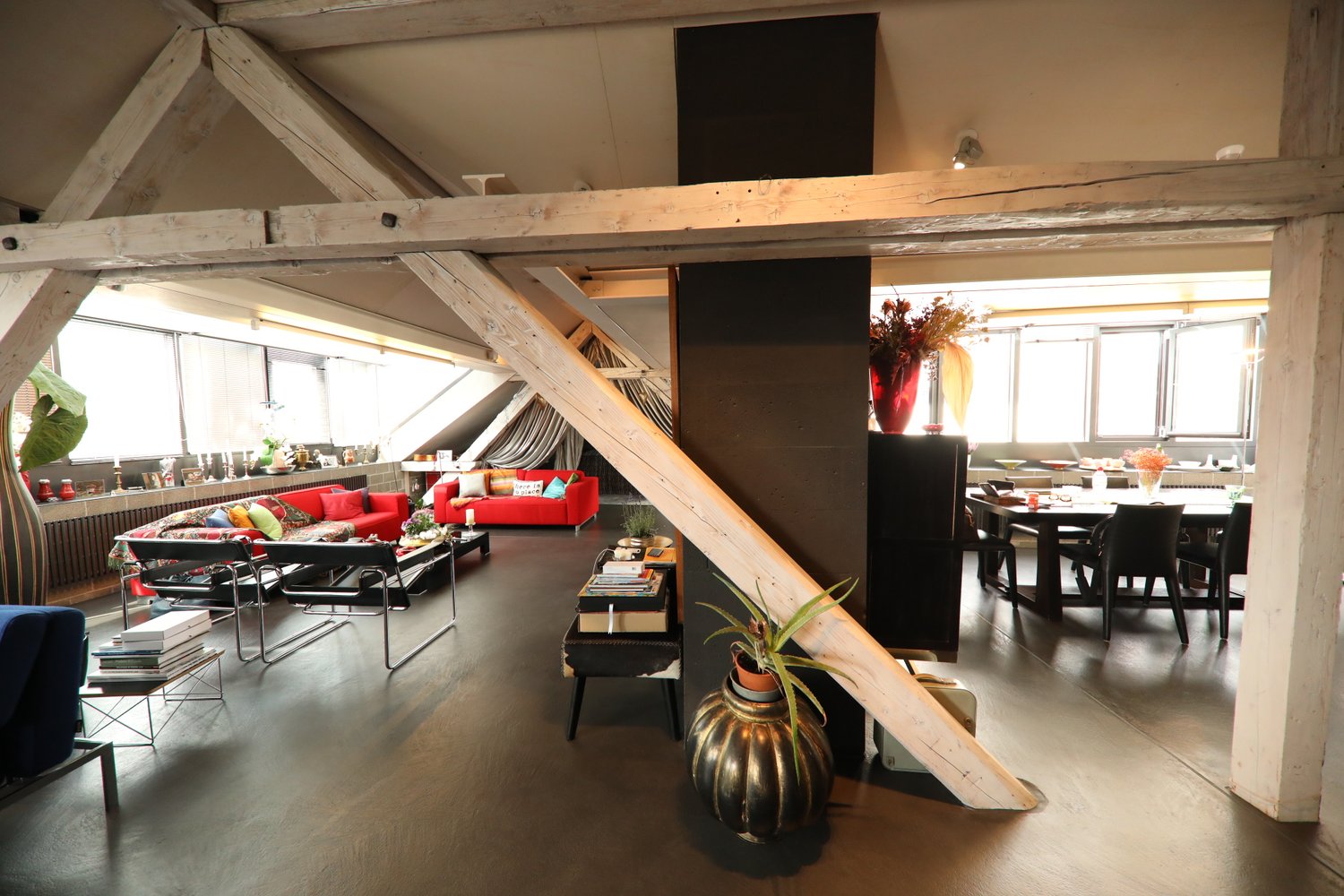 open space, modern furniture, red sofa, black dining table, plants, large windows