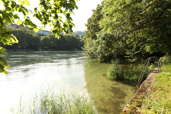 Idyllisches Wohnen direkt am Rhein 10