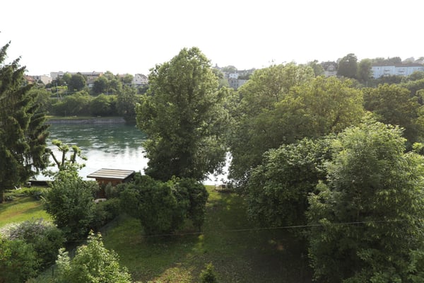 Idyllisches Wohnen direkt am Rhein 9