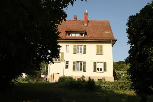 Idyllisches Wohnen direkt am Rhein 2