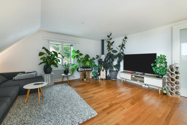 Einfamilienhaus mit Einliegerwohnung, PV-Anlage & 11 Zimmern - ideal für Familien 16