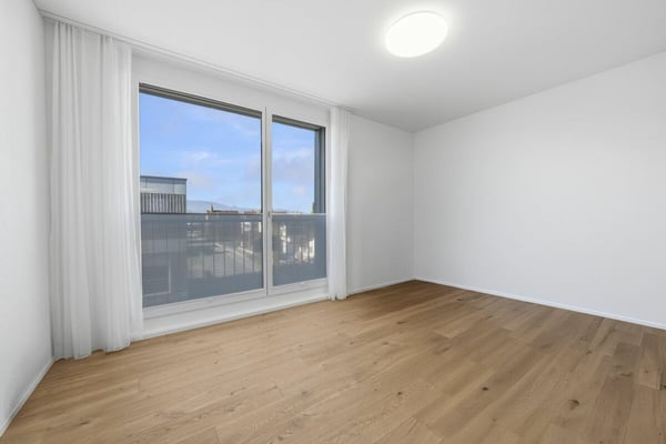 Stilvolle Attikawohnung mit riesiger Terrasse und einmaliger Aussicht in Diepoldsau 12
